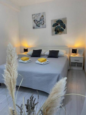 Apartment Ante